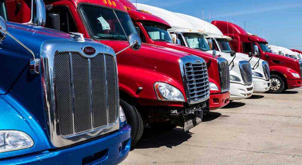CDL Licenses